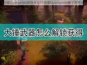 分享Dysmantle游戏中如何获取Dysmantle锤子的方法