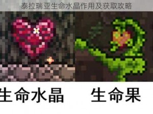 泰拉瑞亚生命水晶作用及获取攻略