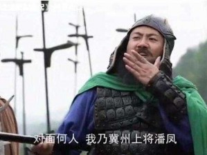 无双上将潘凤：三国英雄传