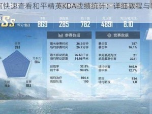 如何快速查看和平精英KDA战绩统计：详细教程与实用技巧