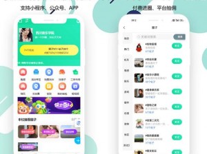 一款提供伦理片播放服务的 APP