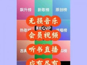 集高清视频、无损音乐、电子书阅读等功能于一身的国产精品 MP4