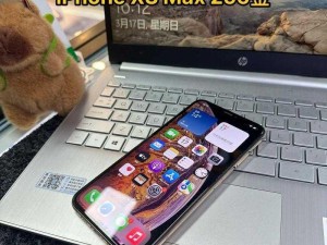 IPHONEXSMAX 欧美高级版，屏幕大且清晰，性能强悍，已修复了部分问题，使用体验佳