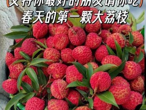 含糖 11h 荔枝，新鲜采摘，汁多味甜，回味无穷