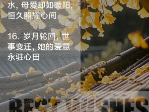 春风又绿江南岸全红妈妈的爱，让爱之花常开不败，让温暖之光照亮每个角落