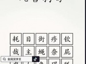 全民汉字王狗字成语大挑战：通关攻略心得分享，汉字闯关游戏技巧揭秘