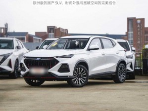 欧洲版的国产 SUV，时尚外观与宽敞空间的完美结合