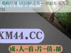 差差差很疼视频 30 分钟应用——体验私密互动，释放激情时刻