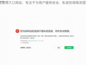 18 款禁用入口网站，专注于为用户提供安全、私密的网络浏览体验