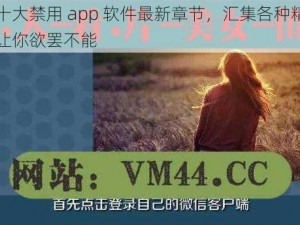 夜里十大禁用 app 软件最新章节，汇集各种精彩内容，让你欲罢不能