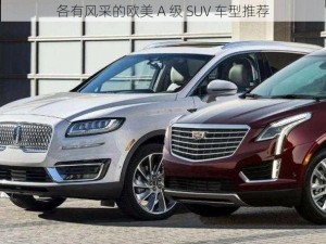 各有风采的欧美 A 级 SUV 车型推荐