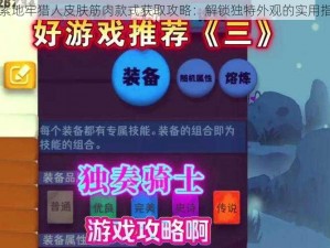 元素地牢猎人皮肤筋肉款式获取攻略：解锁独特外观的实用指南