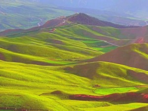 天堂草原视频免费观看，领略广袤草原的壮丽美景