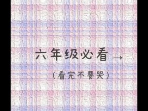 小学六年级差差差很痛带声音：一款针对六年级学生的学习辅助软件