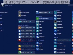 专业稳定的老太婆 WINDOWSVPS，提供高效便捷的网络服务