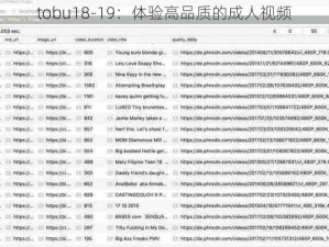 tobu18-19：体验高品质的成人视频