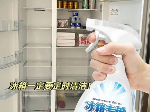 白洁高义 85：一款高品质的清洁产品，有效去除污渍，让您的生活更美好