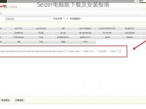 Seizer电脑版下载及安装指南