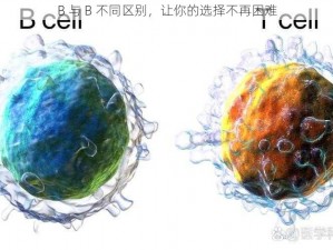 B 与 B 不同区别，让你的选择不再困难