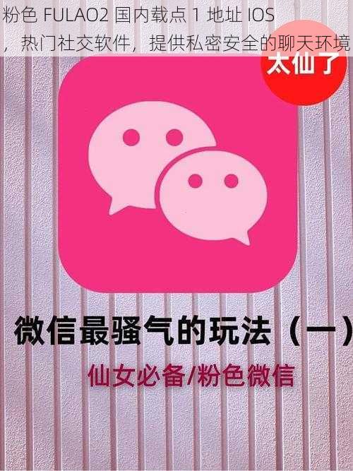 粉色 FULAO2 国内载点 1 地址 IOS，热门社交软件，提供私密安全的聊天环境