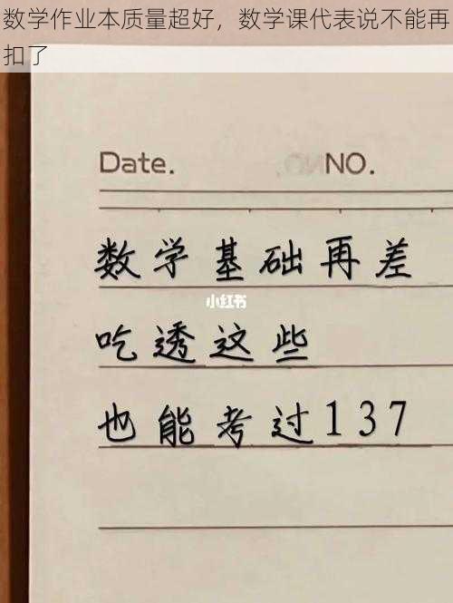 数学作业本质量超好，数学课代表说不能再扣了