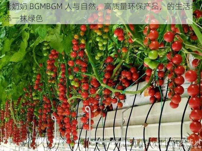 老奶奶 BGMBGM 人与自然，高质量环保产品，的生活增添一抹绿色