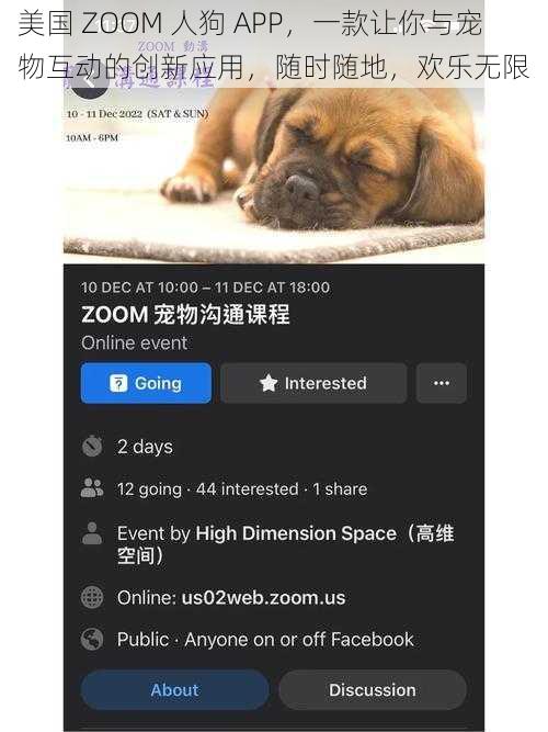 美国 ZOOM 人狗 APP，一款让你与宠物互动的创新应用，随时随地，欢乐无限