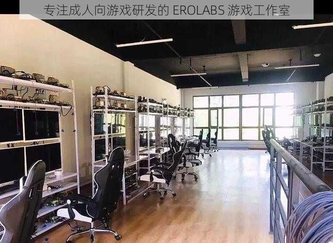 专注成人向游戏研发的 EROLABS 游戏工作室