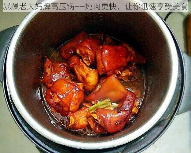 暴躁老大妈牌高压锅——炖肉更快，让你迅速享受美食