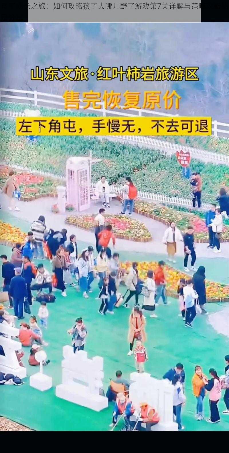 孩子成长之旅：如何攻略孩子去哪儿野了游戏第7关详解与策略攻略秘籍分享