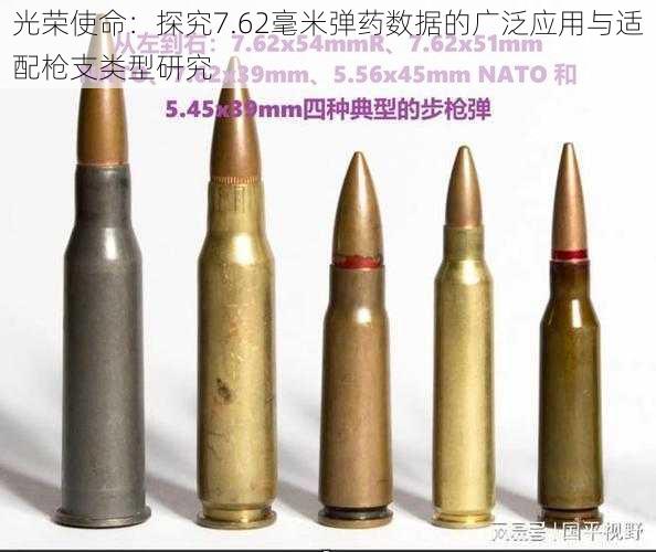 光荣使命：探究7.62毫米弹药数据的广泛应用与适配枪支类型研究