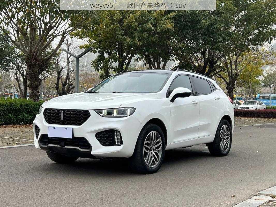 weyvv5，一款国产豪华智能 suv