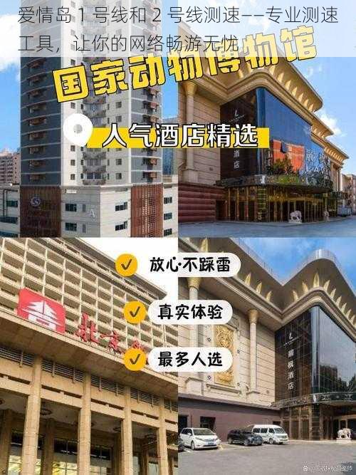 爱情岛 1 号线和 2 号线测速——专业测速工具，让你的网络畅游无忧