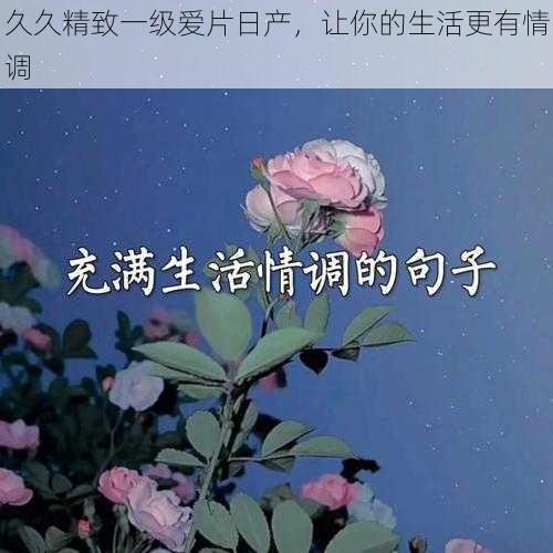 久久精致一级爱片日产，让你的生活更有情调