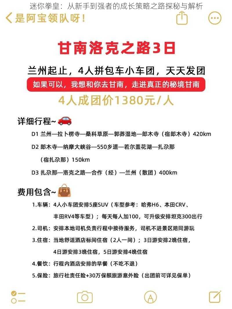 迷你拳皇：从新手到强者的成长策略之路探秘与解析