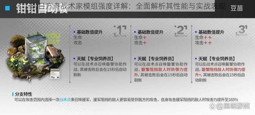 明日方舟战术家模组强度详解：全面解析其性能与实战表现