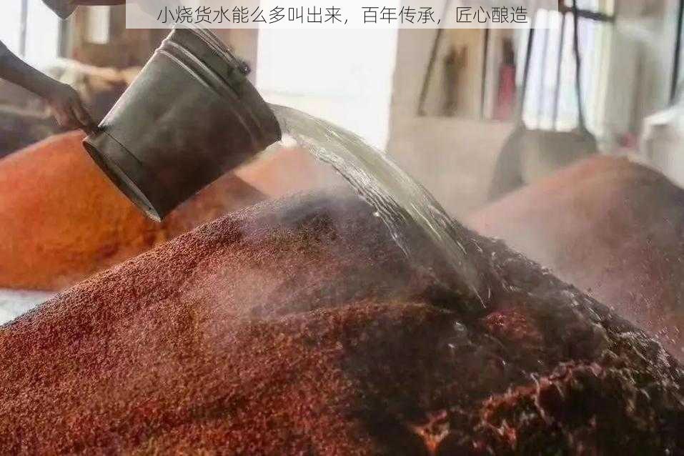 小烧货水能么多叫出来，百年传承，匠心酿造