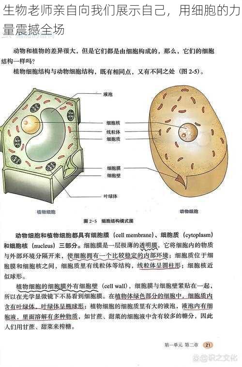 生物老师亲自向我们展示自己，用细胞的力量震撼全场