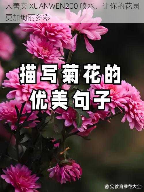 人善交 XUANWEN200 喷水，让你的花园更加绚丽多彩