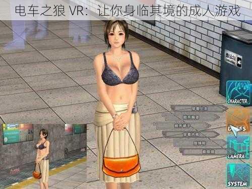 电车之狼 VR：让你身临其境的成人游戏