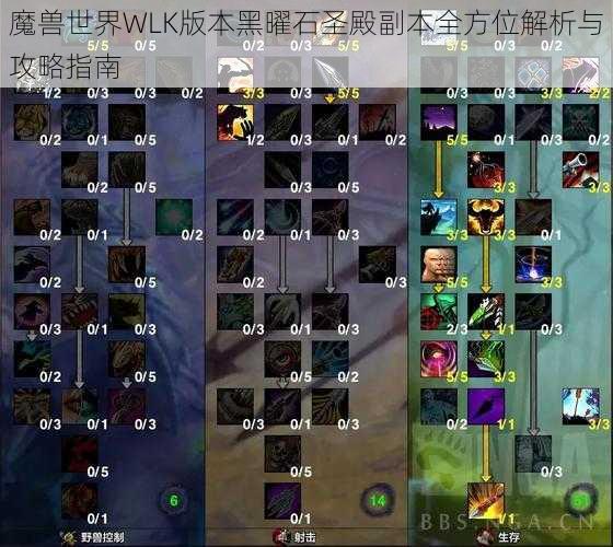 魔兽世界WLK版本黑曜石圣殿副本全方位解析与攻略指南