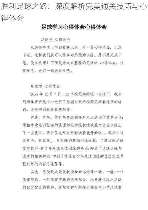 胜利足球之路：深度解析完美通关技巧与心得体会