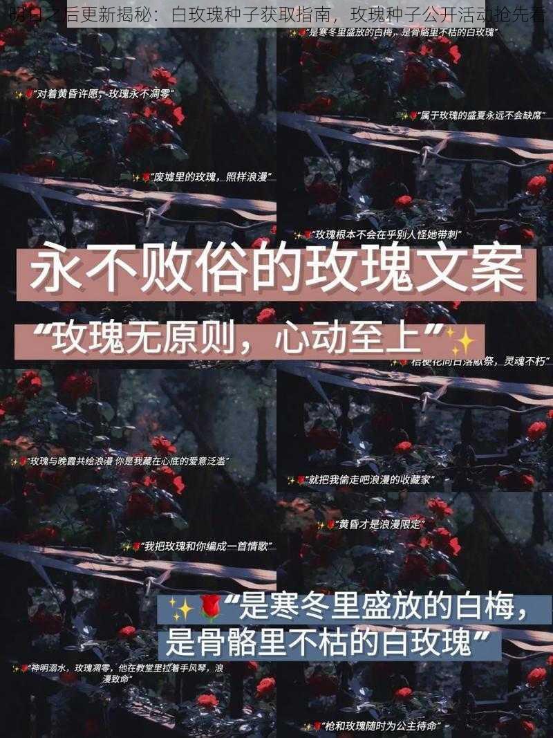 明日之后更新揭秘：白玫瑰种子获取指南，玫瑰种子公开活动抢先看