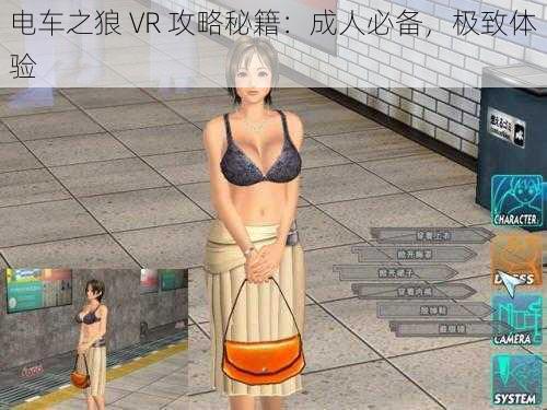 电车之狼 VR 攻略秘籍：成人必备，极致体验