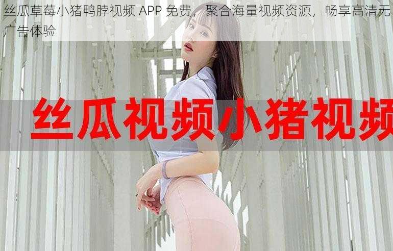 丝瓜草莓小猪鸭脖视频 APP 免费，聚合海量视频资源，畅享高清无广告体验