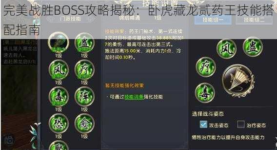 完美战胜BOSS攻略揭秘：卧虎藏龙贰药王技能搭配指南