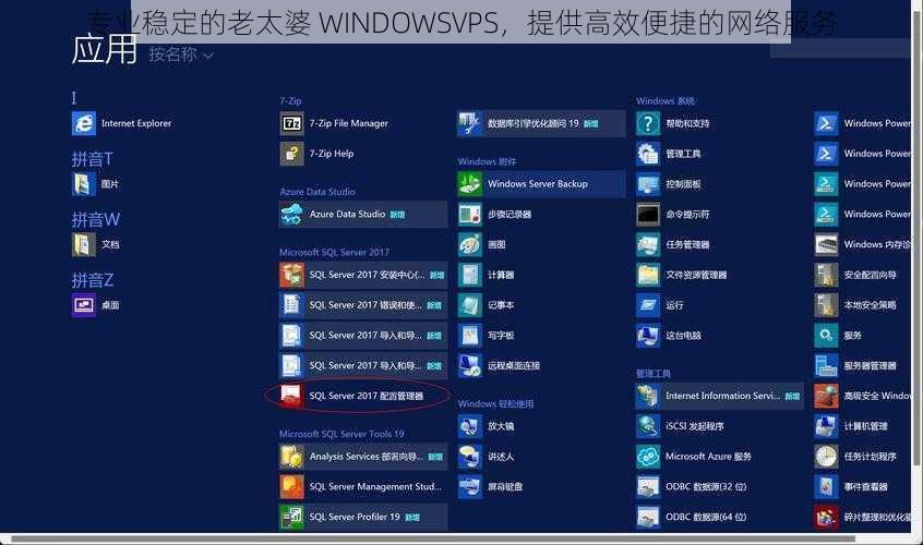 专业稳定的老太婆 WINDOWSVPS，提供高效便捷的网络服务