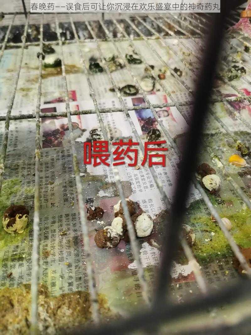 春晚药——误食后可让你沉浸在欢乐盛宴中的神奇药丸