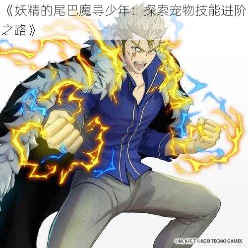 《妖精的尾巴魔导少年：探索宠物技能进阶之路》