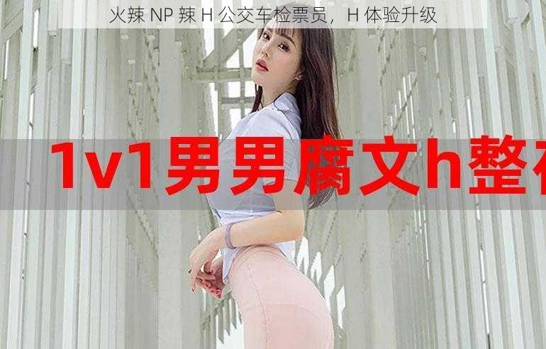 火辣 NP 辣 H 公交车检票员，H 体验升级